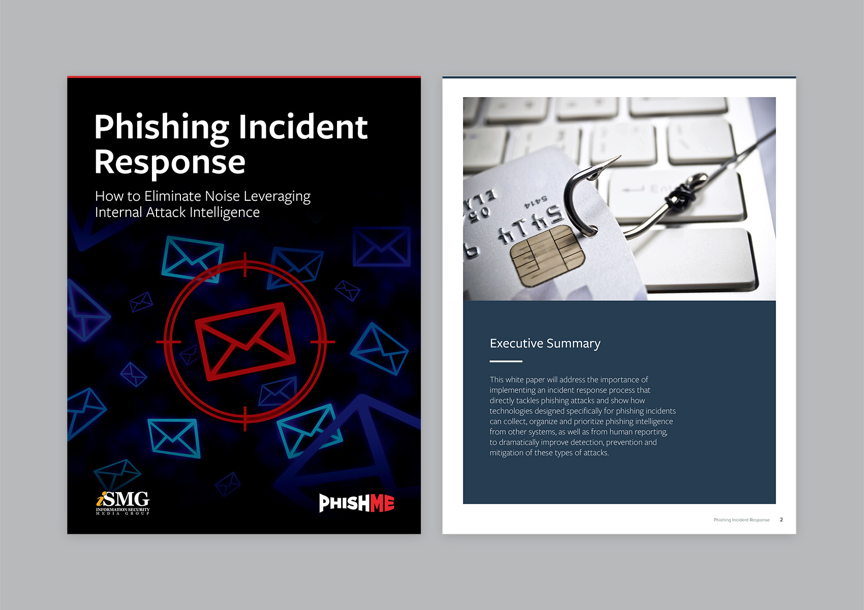 ismg-transcript-3 ISMG white paper